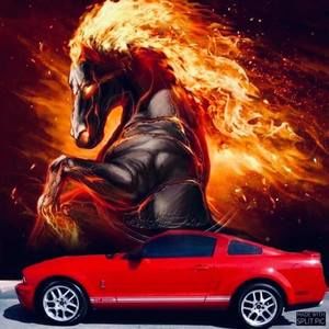 Meet your Posher, Charles